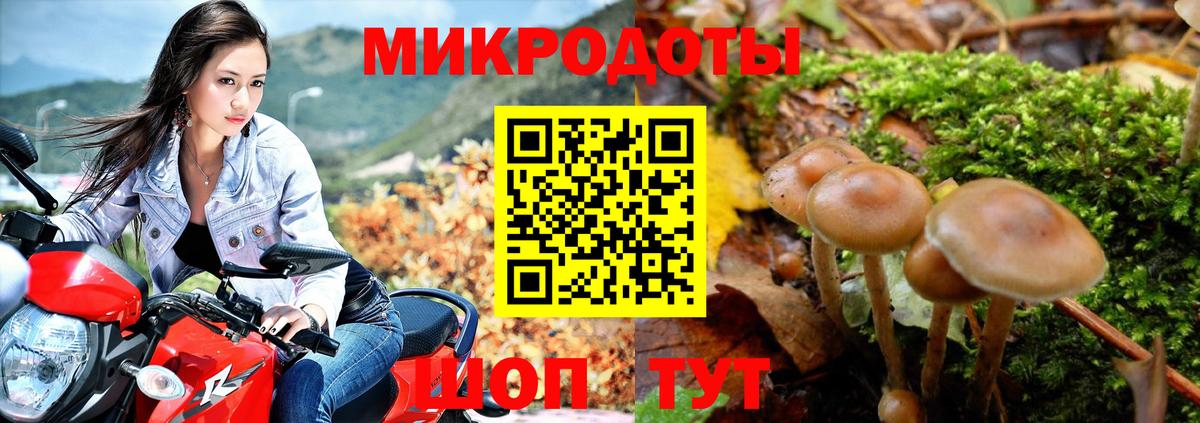 Галлюциногенные грибы MAGIC MUSHROOMS Асбест