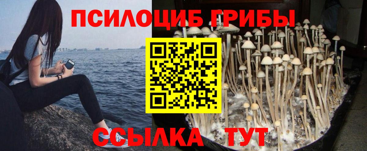 Асбест  Псилоцибиновые грибы ЛСД  Вход с VPN  Галлюциногенные грибы мухоморы 